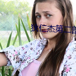 狄仁杰第二部
