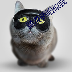 顾漫骄阳似我 （暴富）
