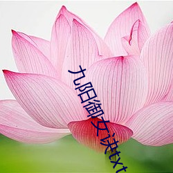 九(jiǔ)阳御女诀txt