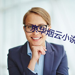 京华烟(煙)云小说