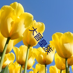 大晋(jn)皇族(zú)