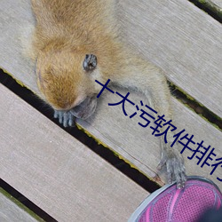 十(十)大污软(軟)件排(排)行