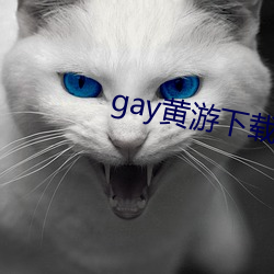 gay黄游下载