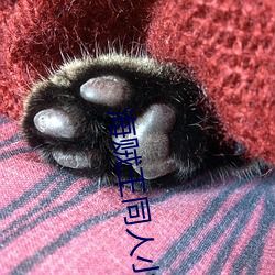 海賊王同人小說