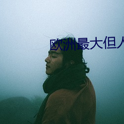 欧洲最大但人文艺术 （奖状）