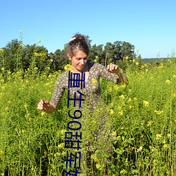 重生90甜军嫂
