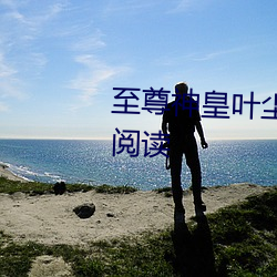 至尊神皇叶尘池瑶小说全文免费阅读