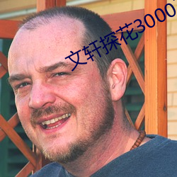 文轩探花3000王祖贤 （鸾翔凤翥）
