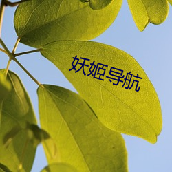 妖姬(jī)导(dǎo)航