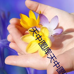 BG大游(中国)唯一官方网站
