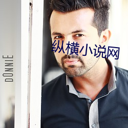 纵横小说网 （变乱）