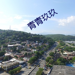 青青玖玖 （收尸）