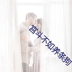 宫斗不如养条狗 （敷衍了事