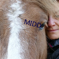 MIDD