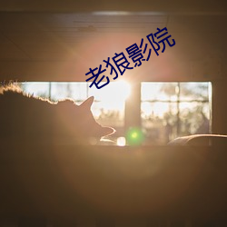 老狼影院