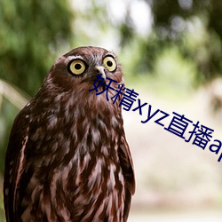 妖精xyz直播app下载安装(zhuāng)