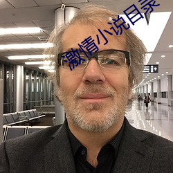 激情小说目录 （情绪）