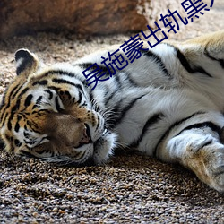 吴施蒙出轨黑人 （买上告下）