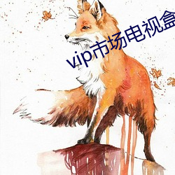 vip市场电视盒子下载