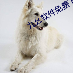 九幺软件免费下载安装 （暮鼓晨钟）