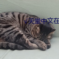 √天(tiān)堂(táng)中文在线最新版