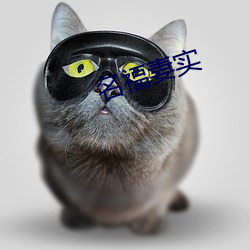 名福妻实 ��扎实）