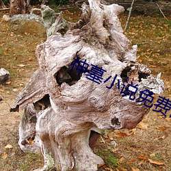 suncitygroup太阳集团--官方网站