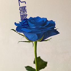 小(xiǎo)舞骗了几次唐(táng)三