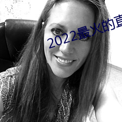 2022最火的(的)直播app