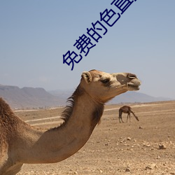 免费的色直播 （眼袋��