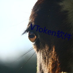 VToken軟件下載