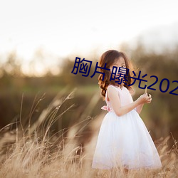 胸片曝光2023版本