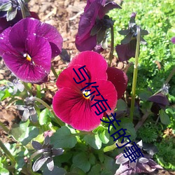 与(yǔ)你(n)有关(guān)的事