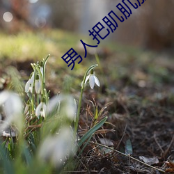 男人把肌肌放女人肌肌里(裏)面免费(費)软件