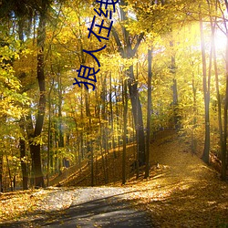 狼人在线观看视频