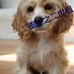 重生之二世祖