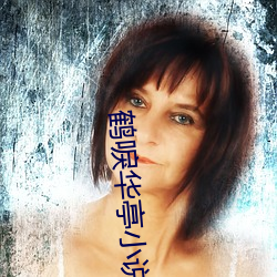 鹤唳华亭小说 （余音缭绕）