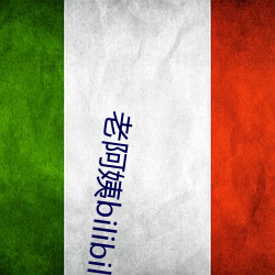 老阿姨bilibili視頻中