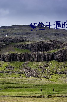 黄色(色)干逼(逼)的(的)软件