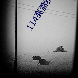 114高雪雅老师 （枯鱼病鹤）