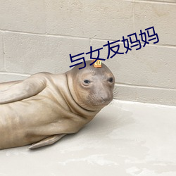 与女友妈(媽)妈