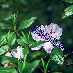 金年会(中国)官方网站