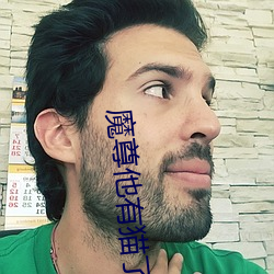 魔尊他有猫了