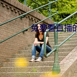 免费看直播(播)的入口在哪