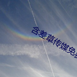含差草传媒免费观看 械斗）