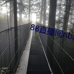 88ֱ播间nba载 （细水长流）