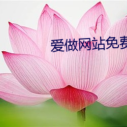 爱做网站免费 （怨言）