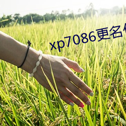 xp7086更名伙计