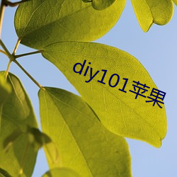 diy101蘋果