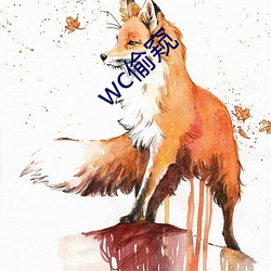 wc偷窥 （打火机）